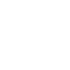 Insignia 2024